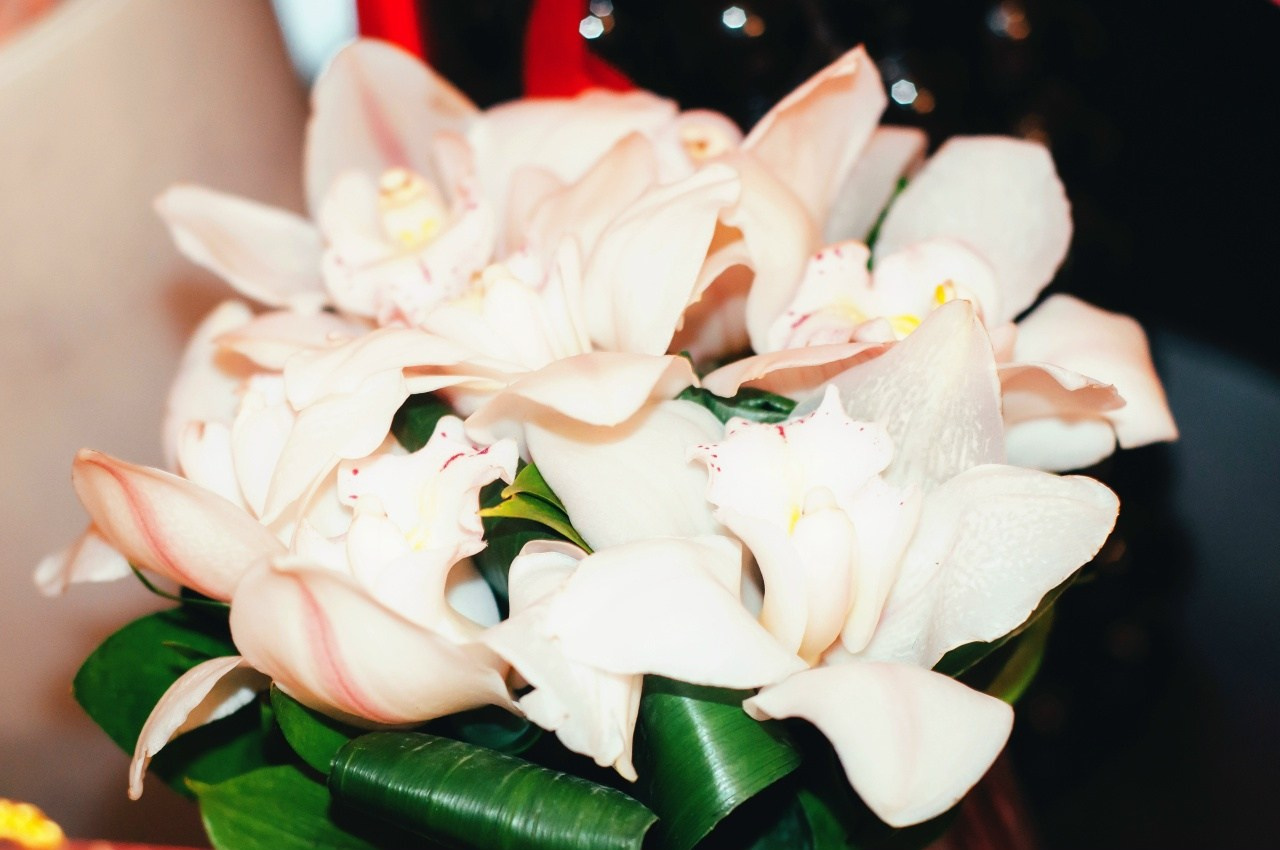 Свадьбы. Главная