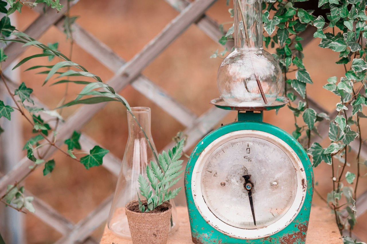 СВАДЕБНАЯ СЪЕМКА. Фотограф Юля Юнг