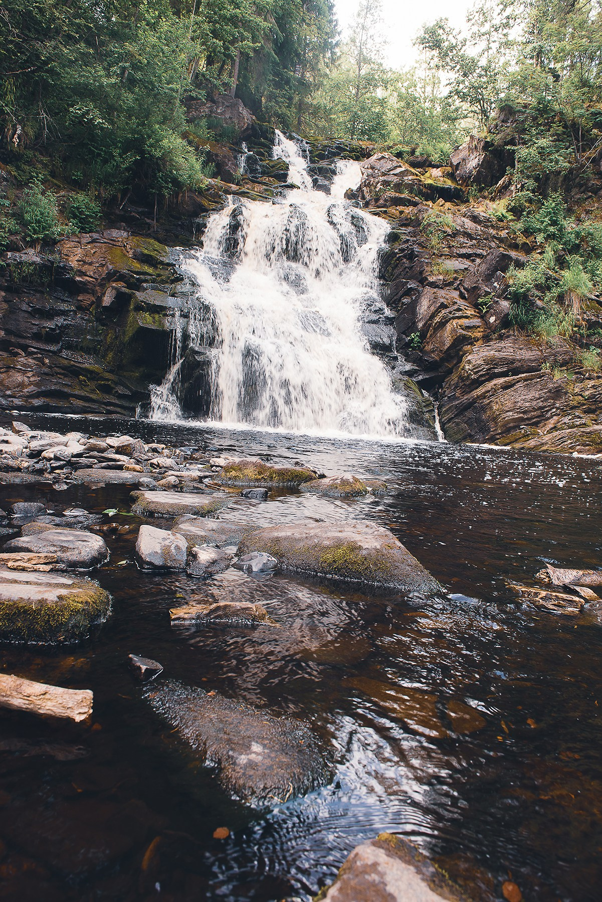 Карелия. Фотограф-анималист Наталья Светличная