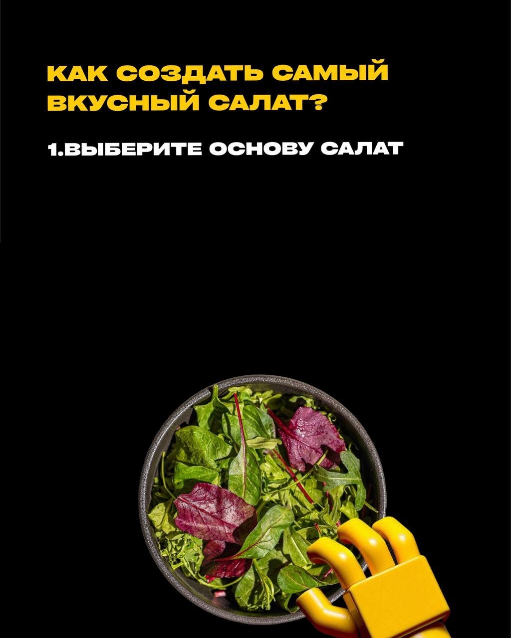 PASIBA. AMODEO STUDIO