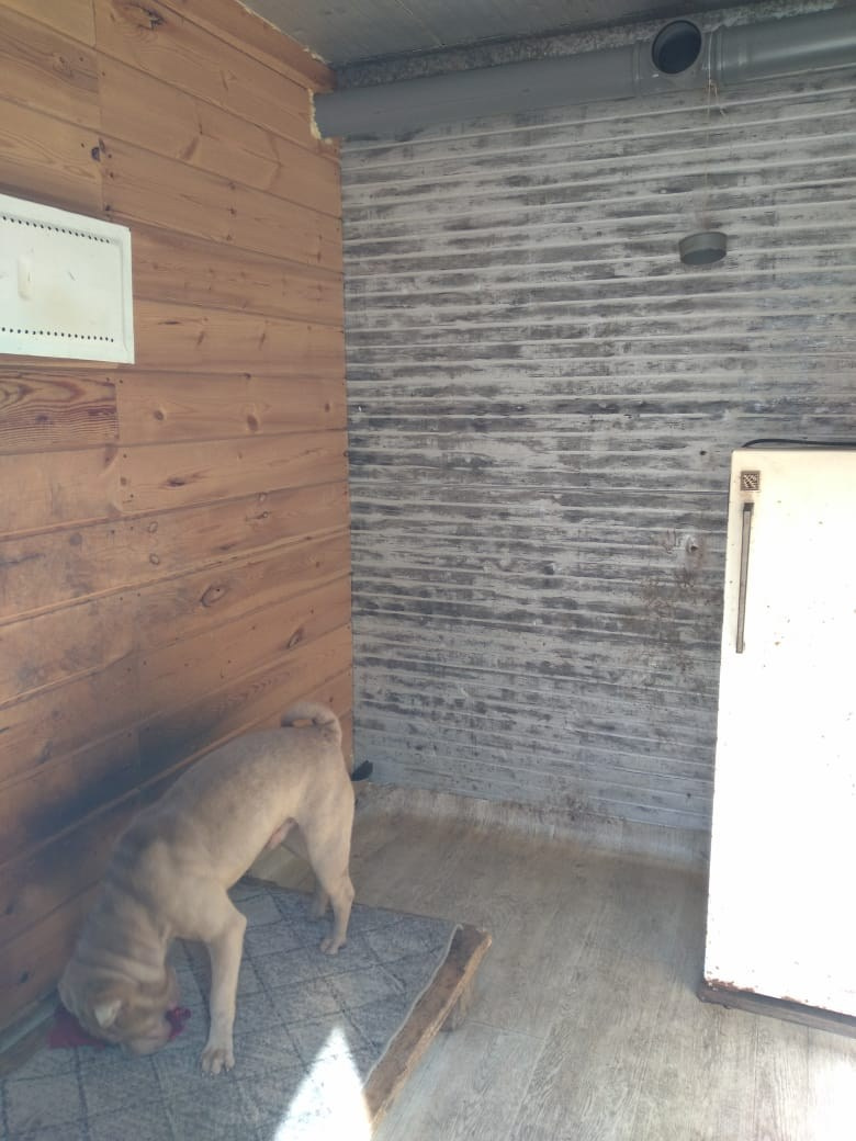 Гостиница для животных в г. Иркутск. Питомник собак Иркутск