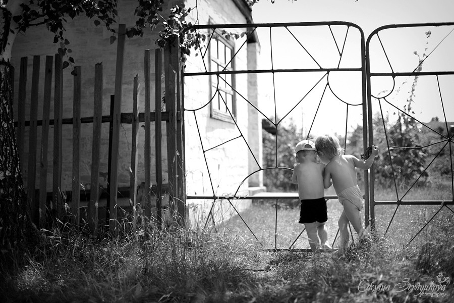 Сестра и брат увидели муравьёв на даче через забор летом. Они резвятся.