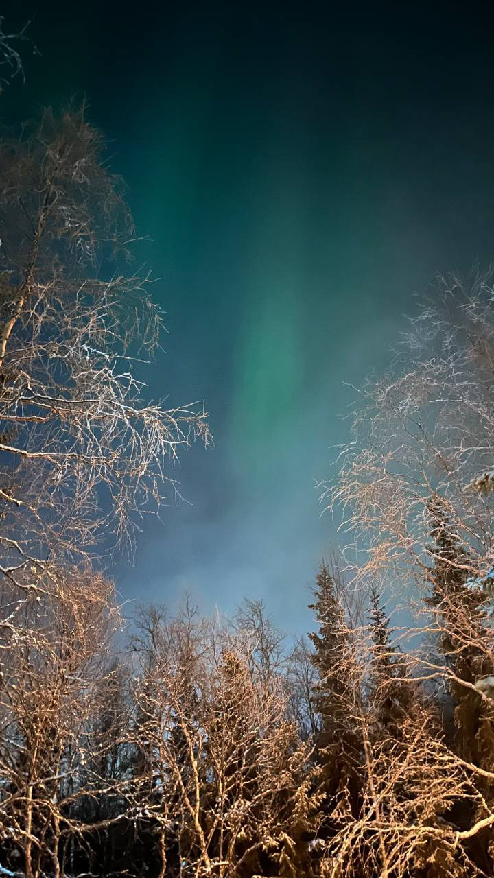 Мурманск. Организатор Авторских Туров Жукова Алёна