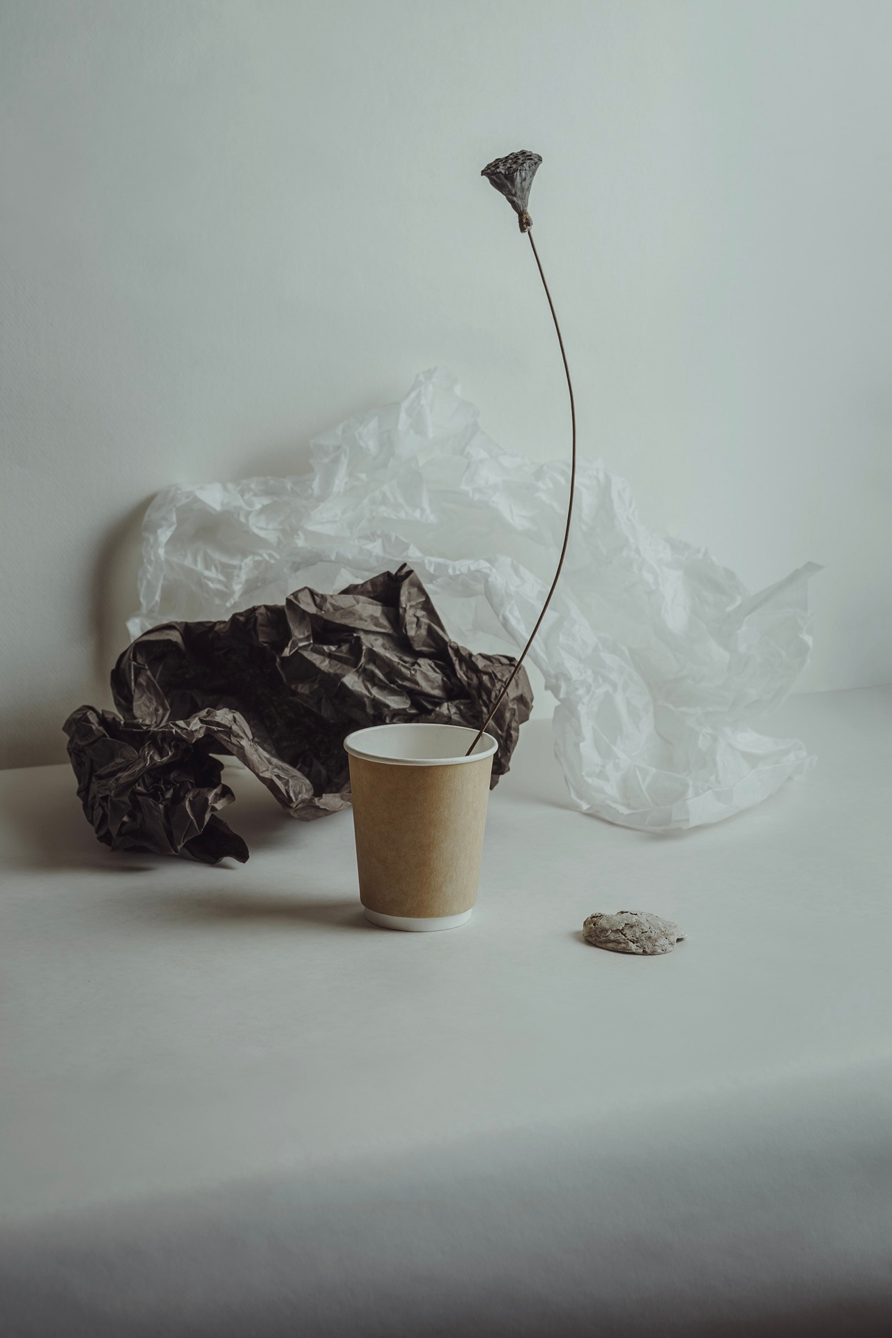 Современный натюрморт. Fine Art фотограф Альбина Бугарчева