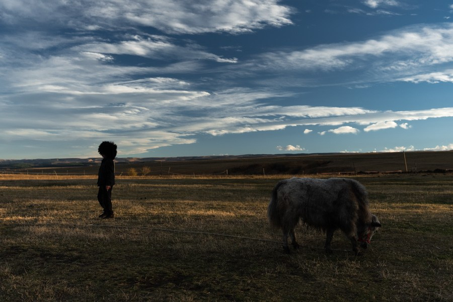 Репортаж из КЧР). Семейный фотограф и видеограф Алёна Ким