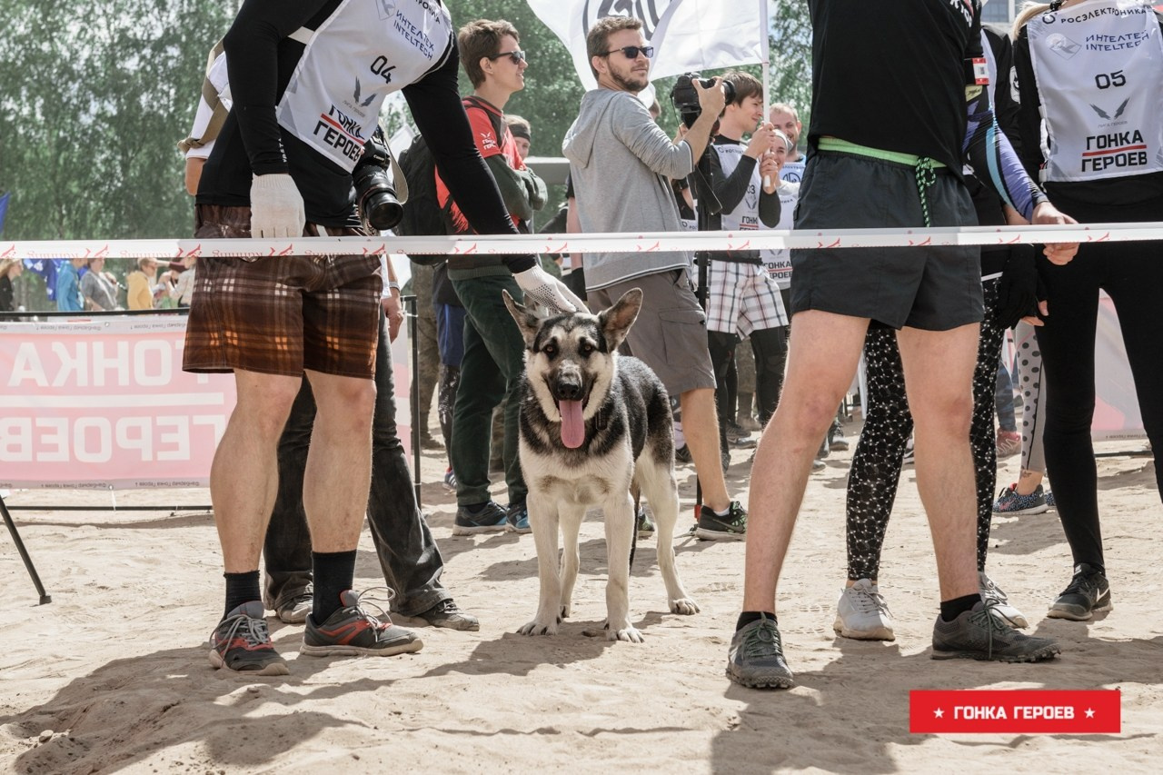 Гонка Героев, Ленобласть. Свадебный и семейный фотограф София Невская