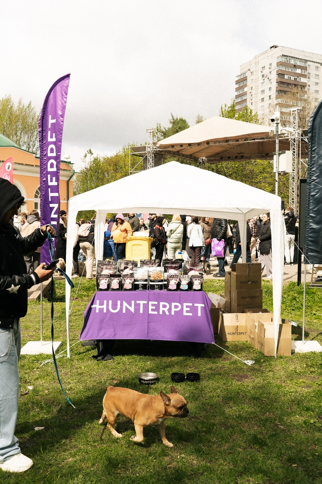 Парад Бульдогов. Axenov_eugene