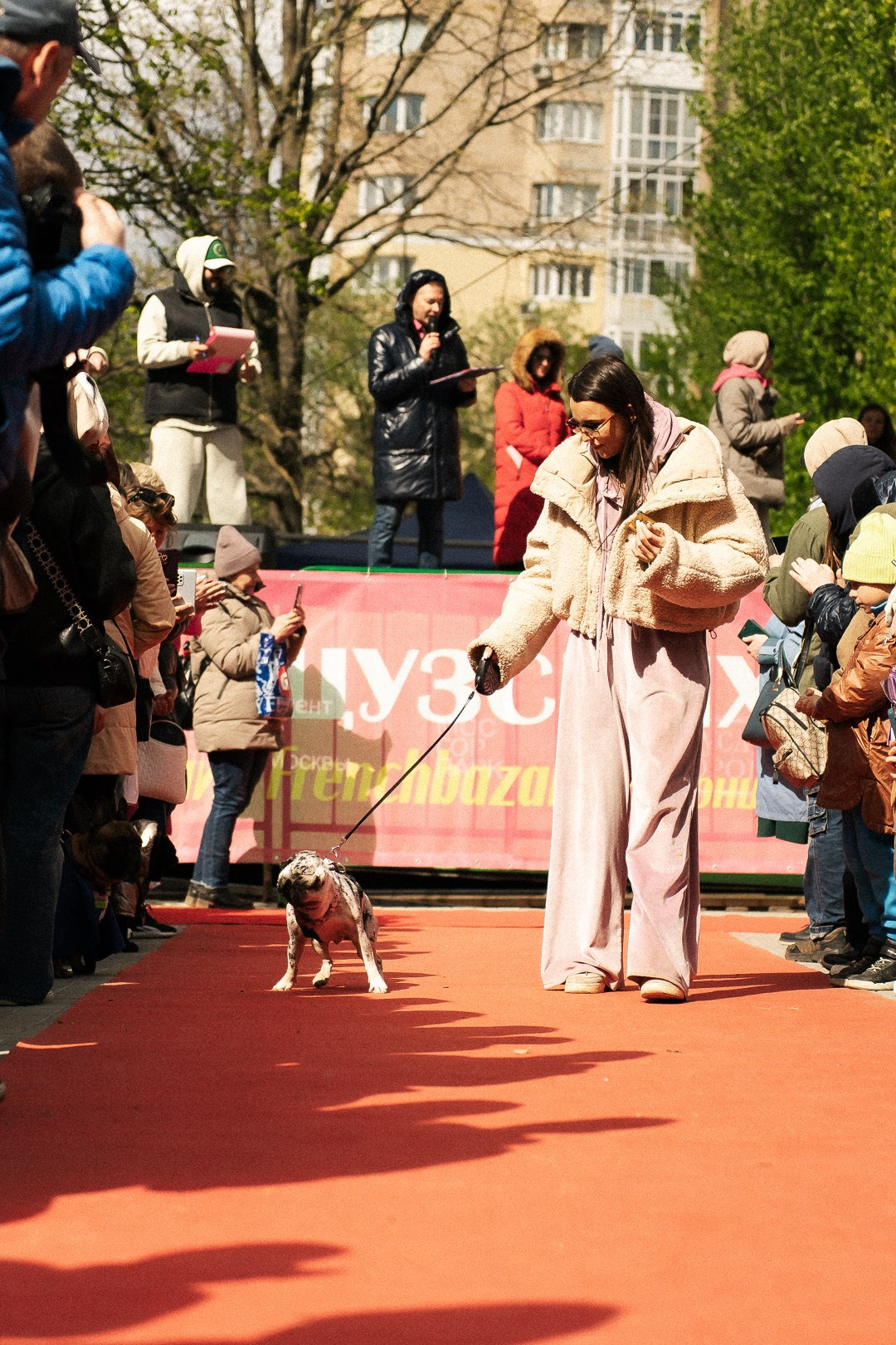 Парад Бульдогов. Axenov_eugene