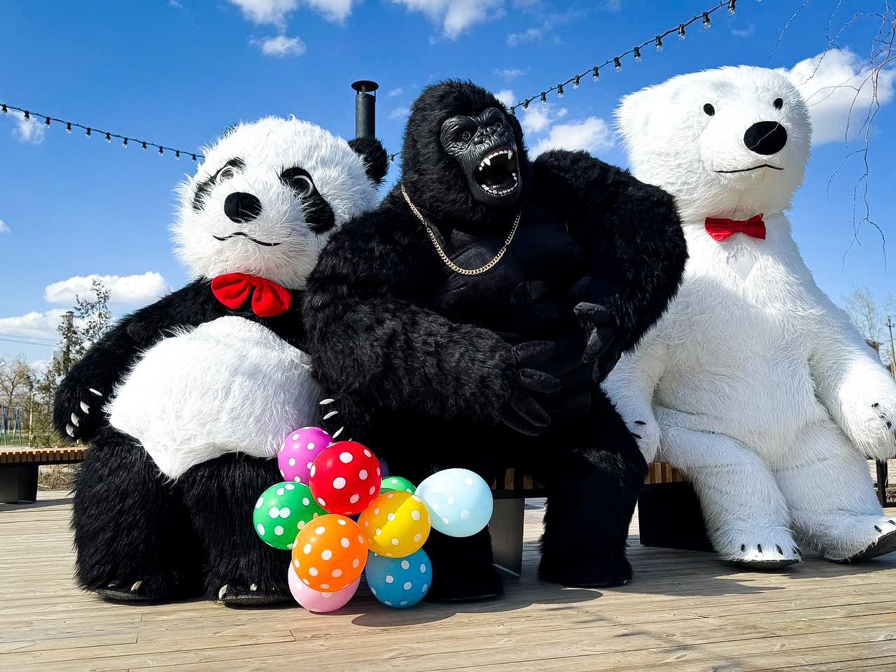 Эксперсс поздравление.ростовые куклы, медведь, панда, горилла. Организатор праздников. Ведущая Марина Гребенникова