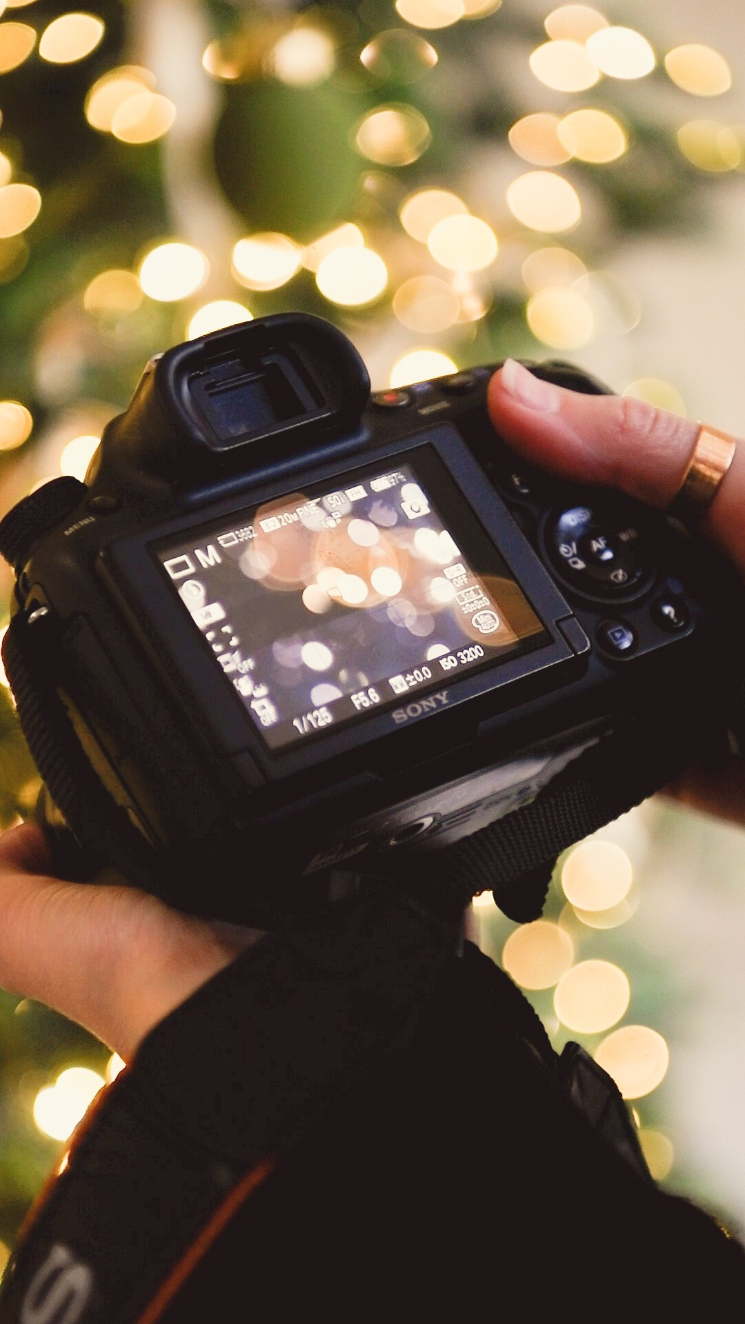 НОВОСТИ. Фотохудожник Нина Жихарева