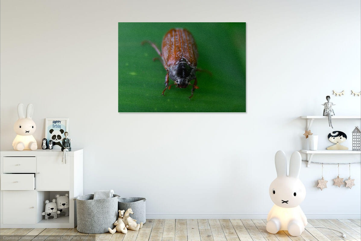 Визуализация моих картин (visualization of my paintings in the interior). Фотограф (photographer) Lischinski Vitaliy