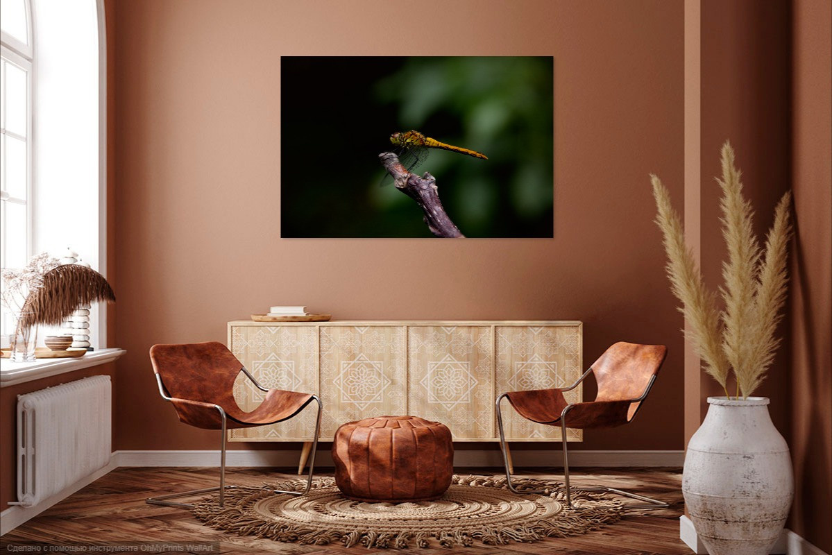 Визуализация моих картин (visualization of my paintings in the interior). Фотограф (photographer) Lischinski Vitaliy