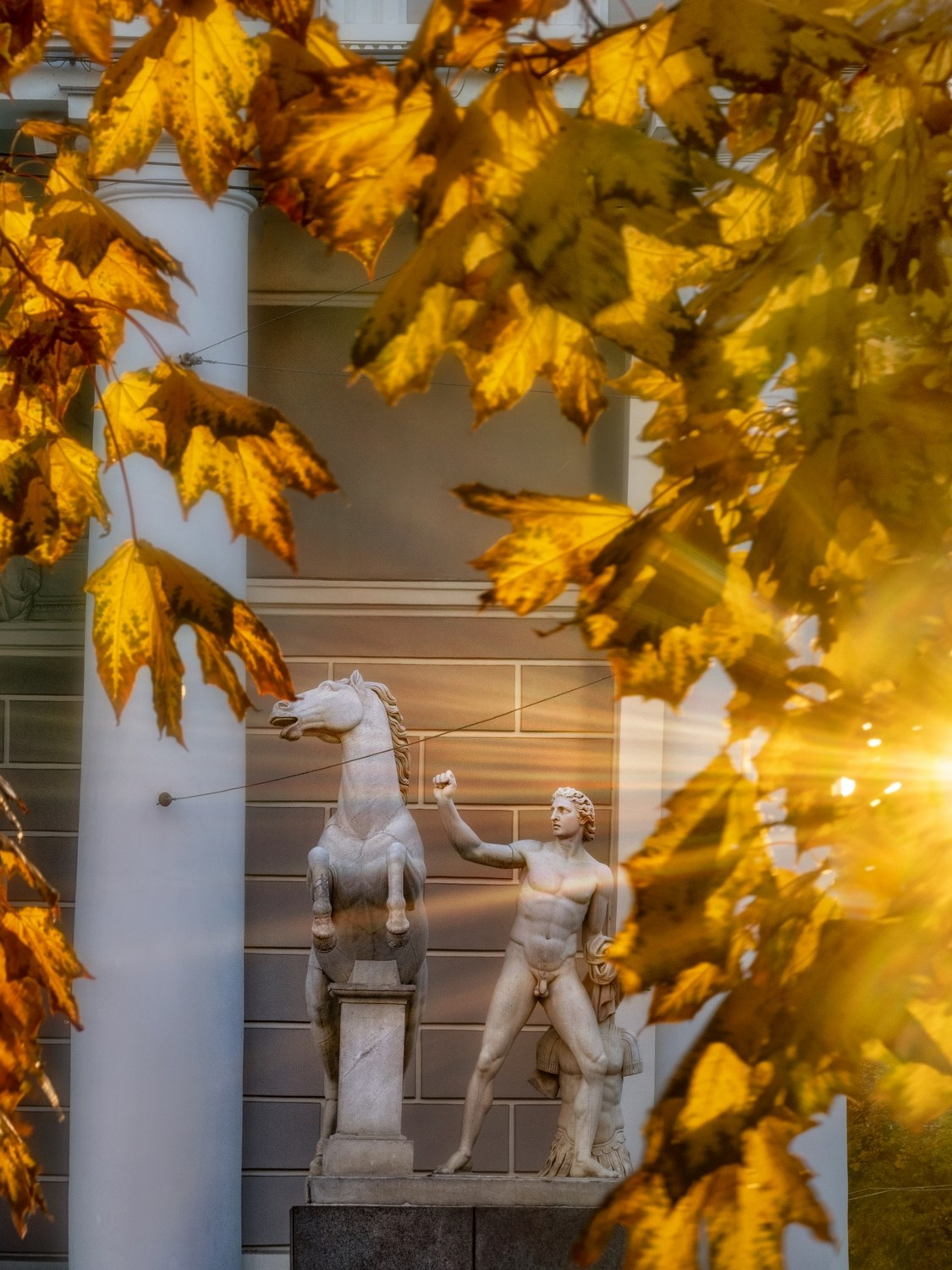 Город. Фотограф Александр Петросян