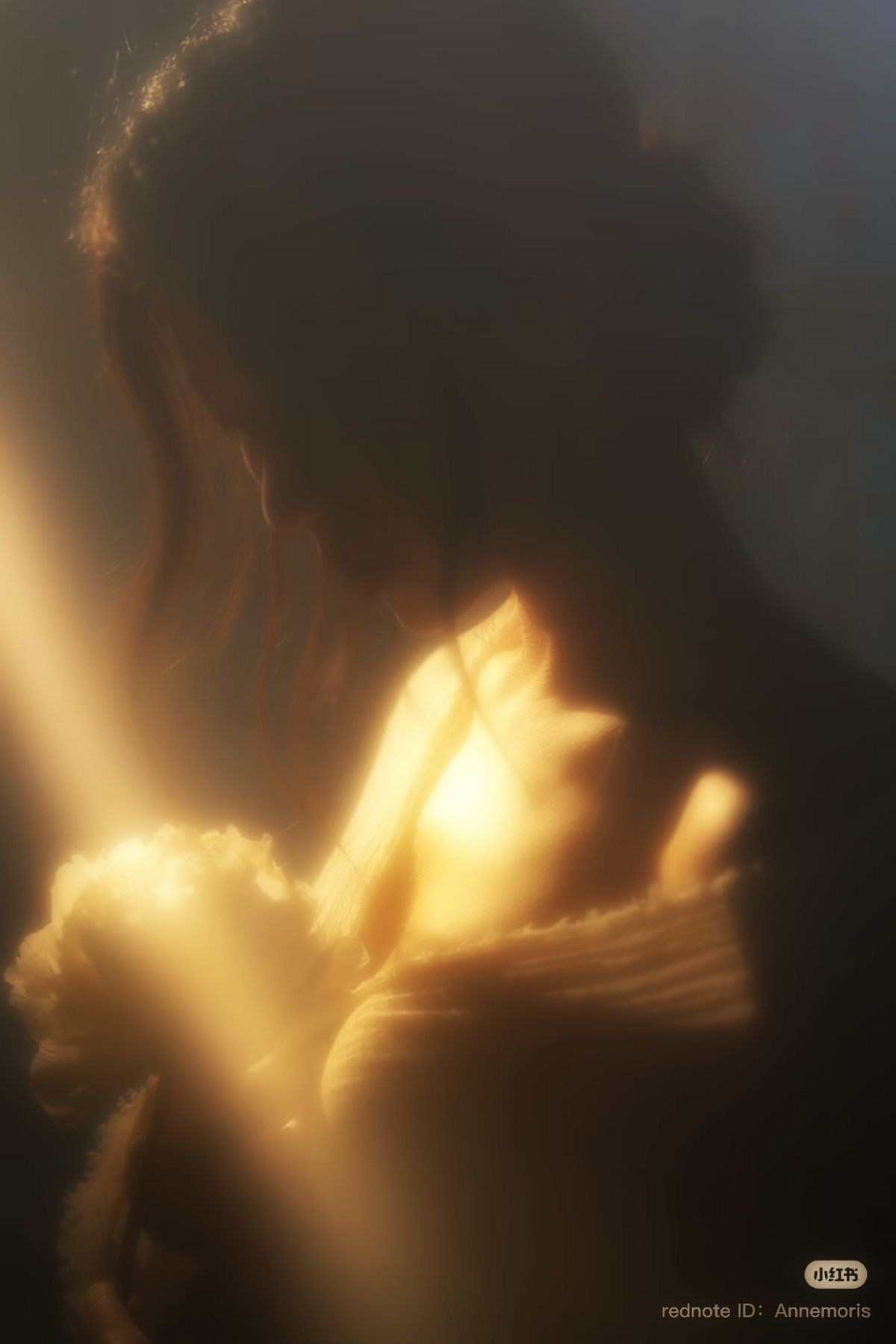 Фотопроект Отражение