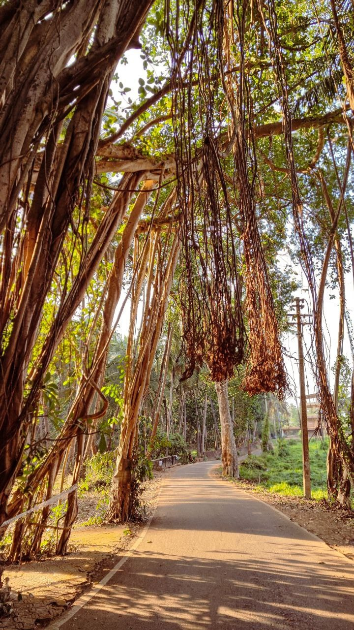 Индия. Живые снимки! Фотограф Даша Бендер