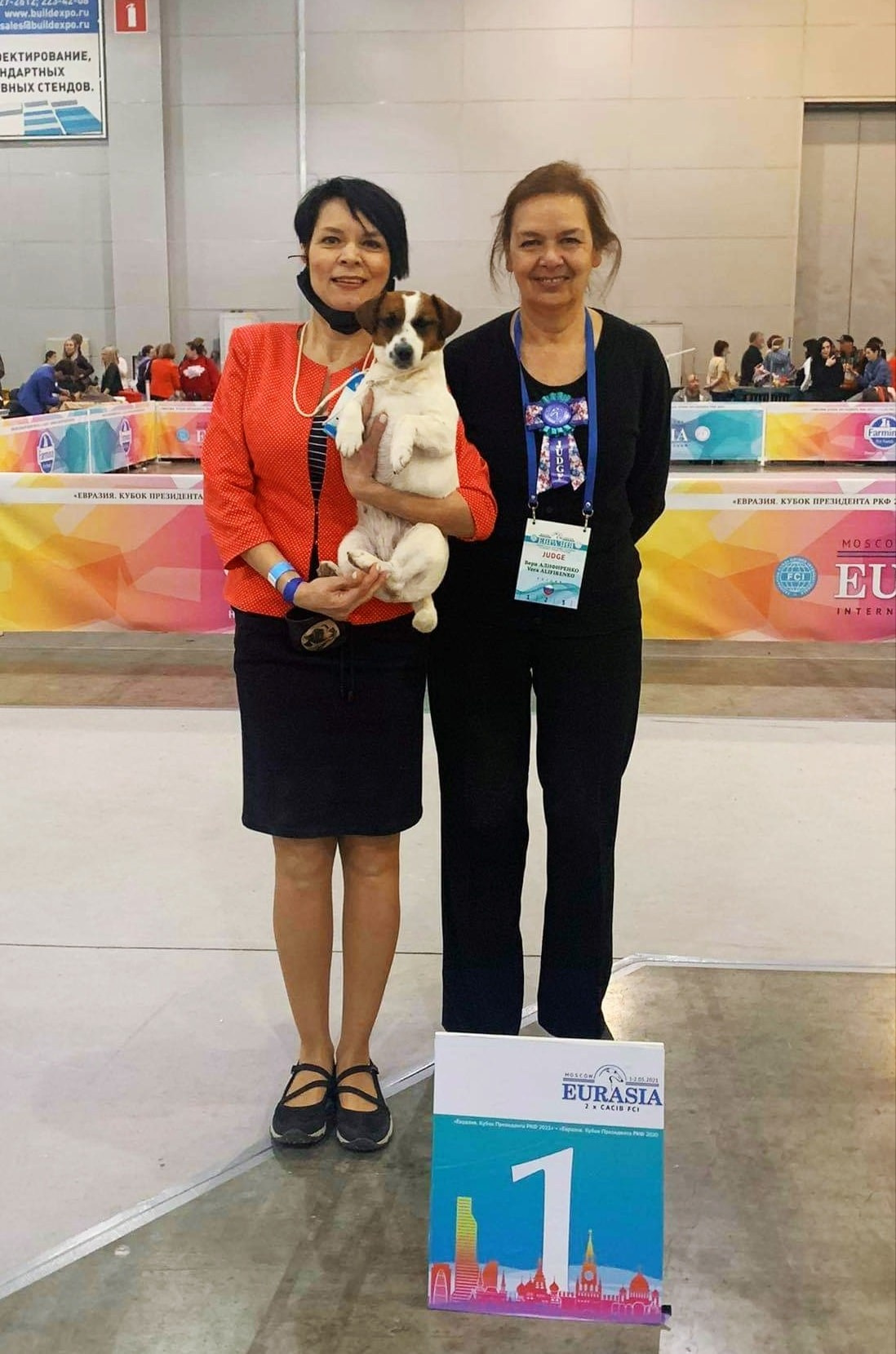 CANE MAESTRO ILANG-ILANG. CANE MAESTRO — kennel Jack Russell Terrier