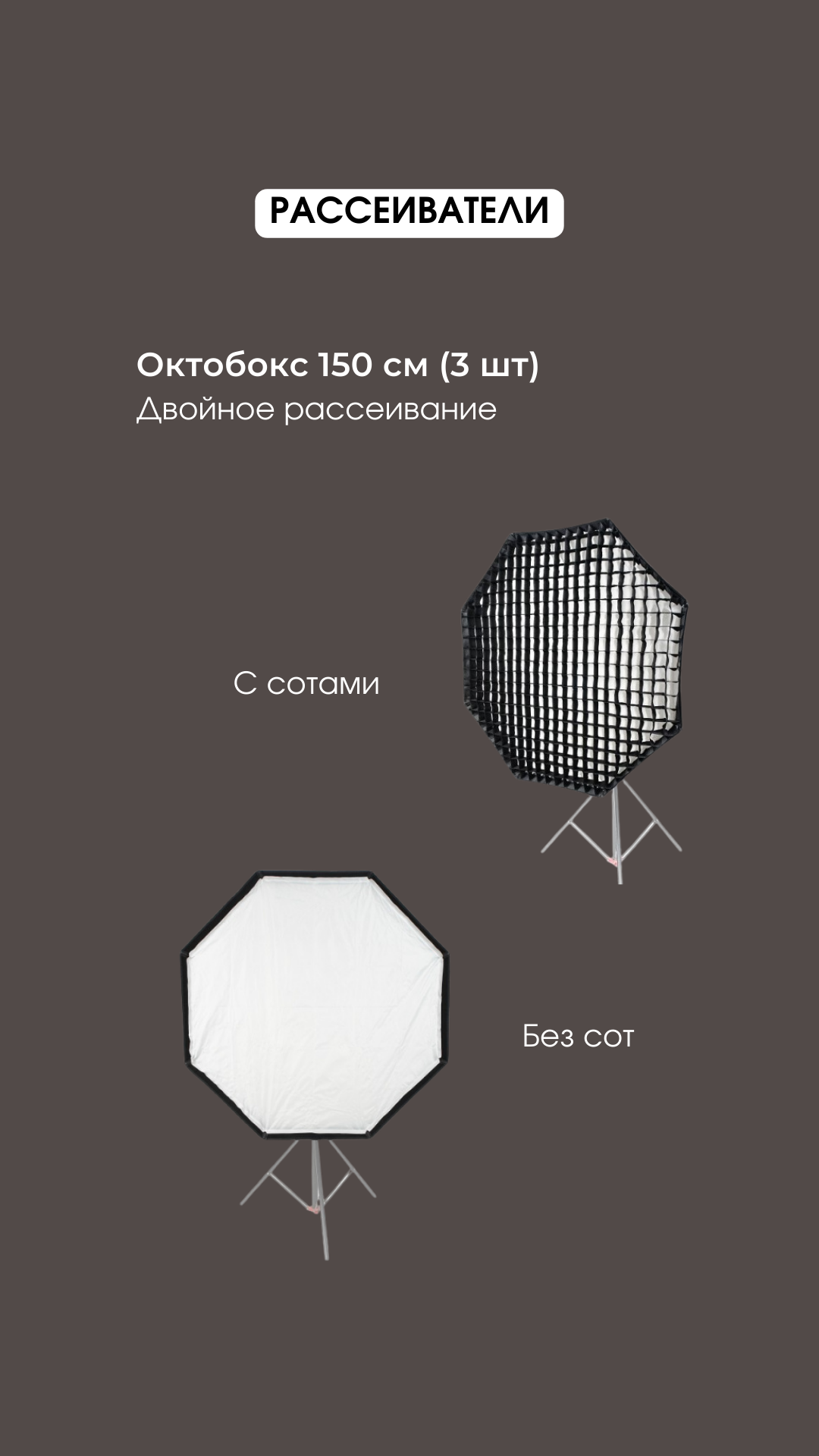 Фотостудия Молоко в Минске