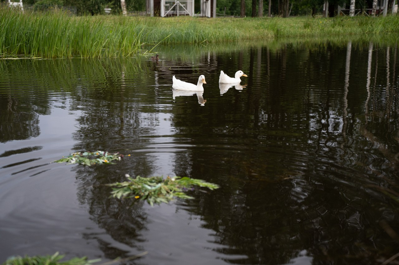 Иван Купала. Ecobelovo. Фотограф Мария Ковкова