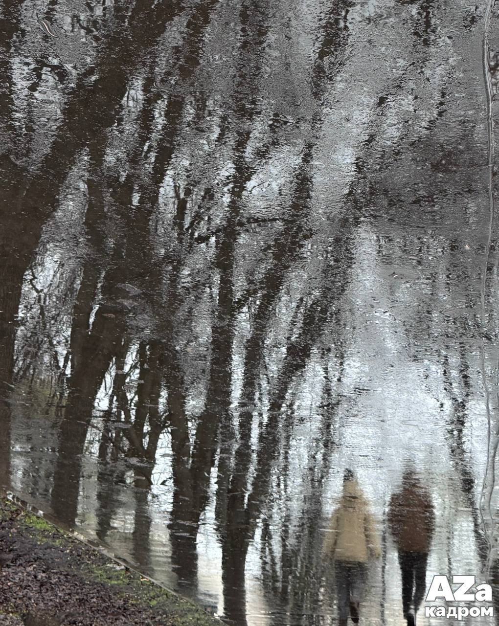 AZакадром «Отражения». Женский семейный фотограф Тула Москва Захарова Анна