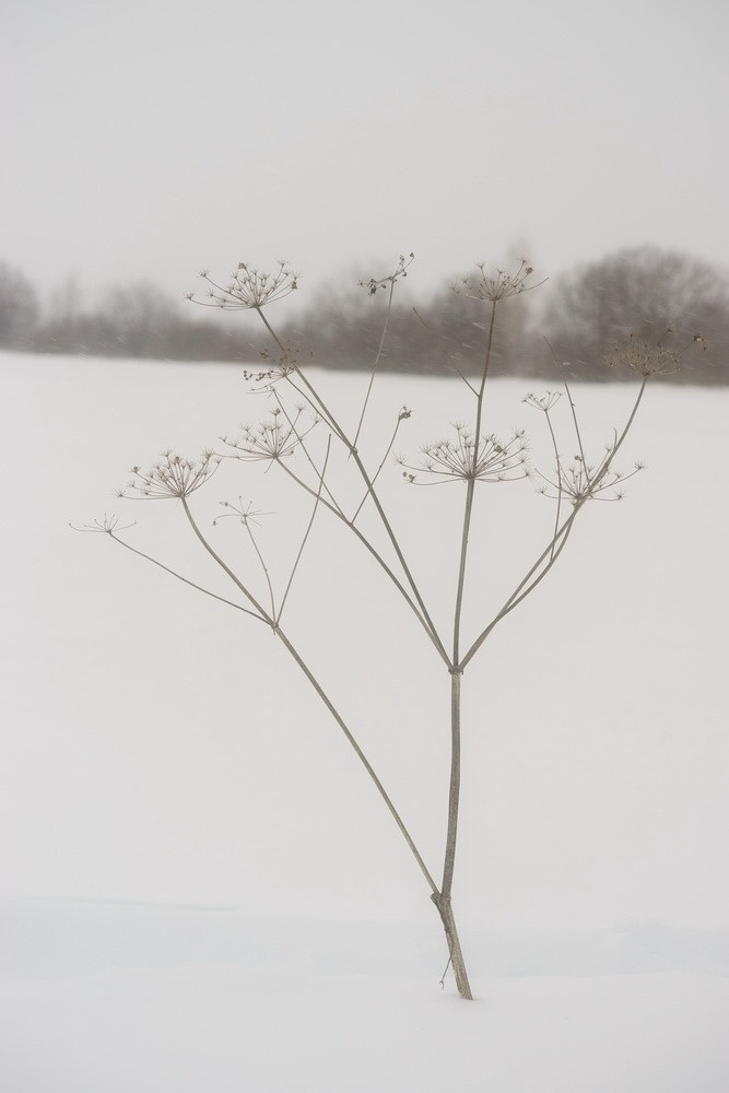 фотограф пермь