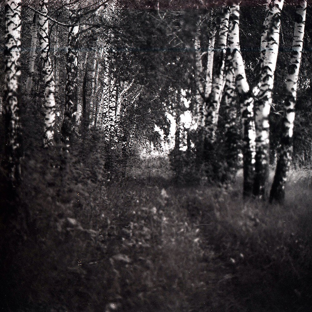 Пейзажи. Свадебный и портретный фотограф в Новом Уренгое Андрей Нелескин