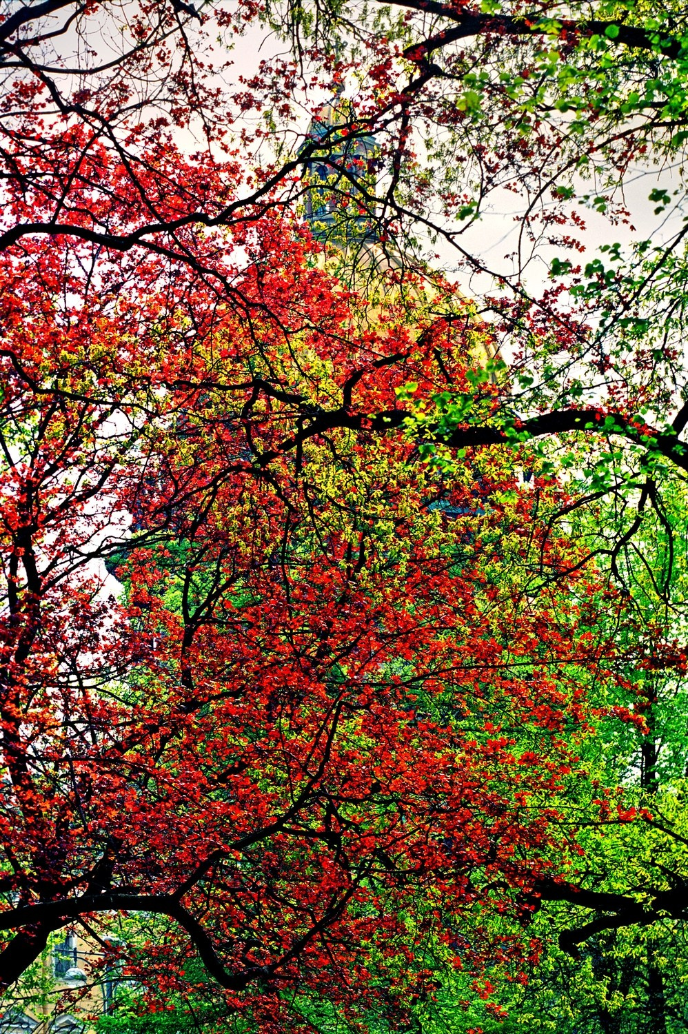 Город. Фотограф Александр Петросян