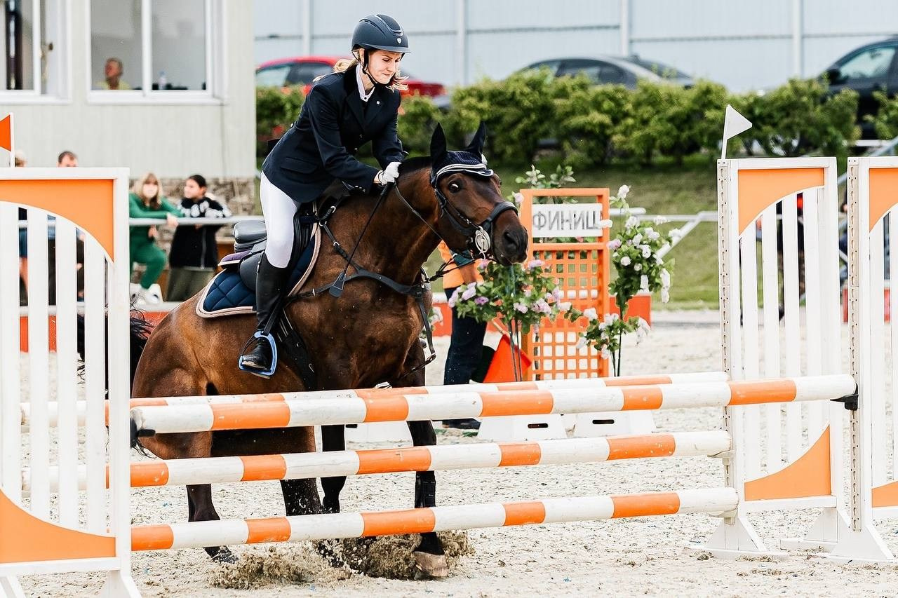 ЛЕТНИЙ КУБОК КСК «КОНКОРД» по КОНКУРУ. Конный фотограф Куракина Дарья • Фотосессии с лошадьми