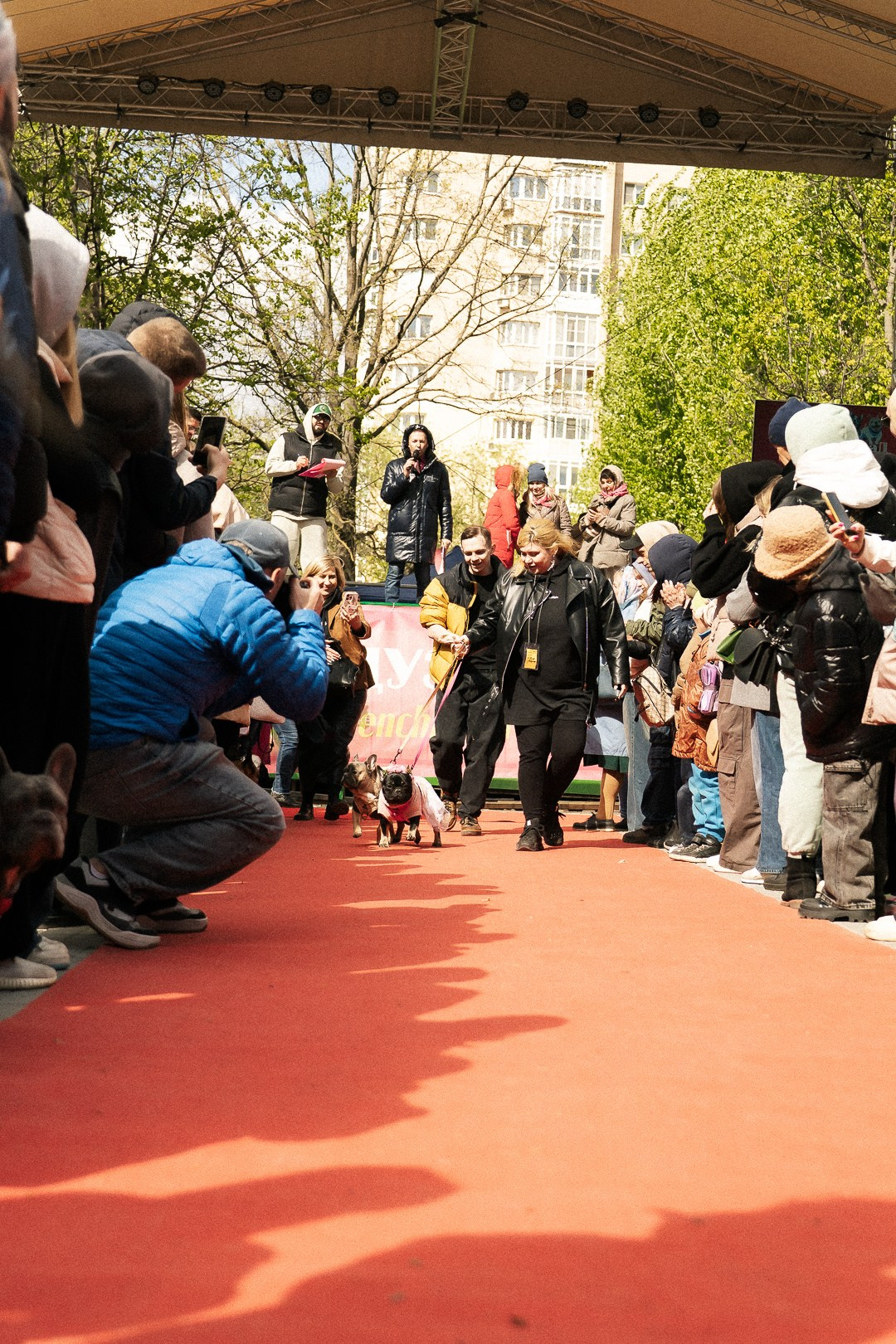 Парад Бульдогов. Axenov_eugene