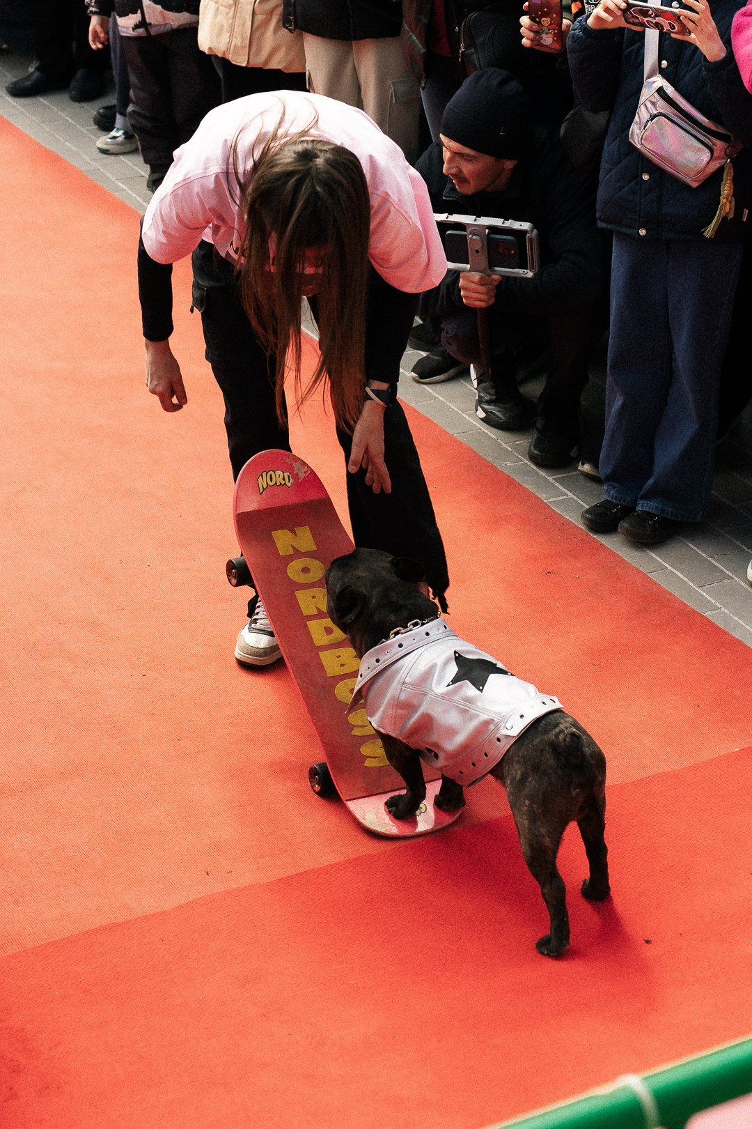 Парад Бульдогов. Axenov_eugene