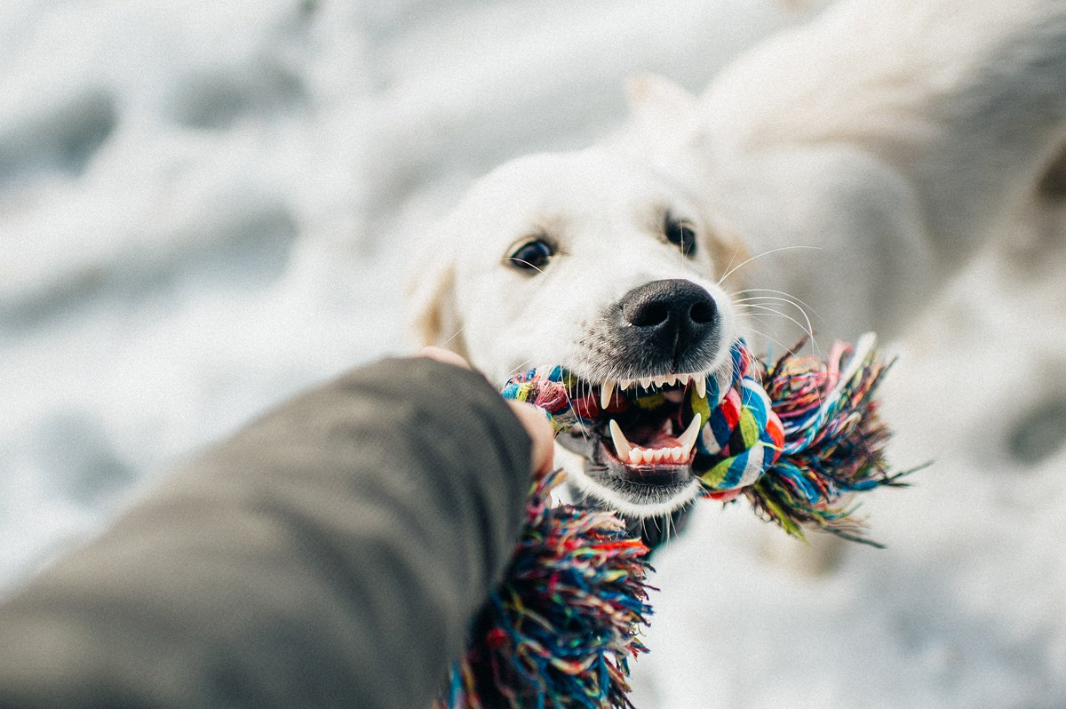 ШАНТИ и СЕМЬЯ. Свадебный и семейный фотограф РИТА БОЧКАРЁВА
