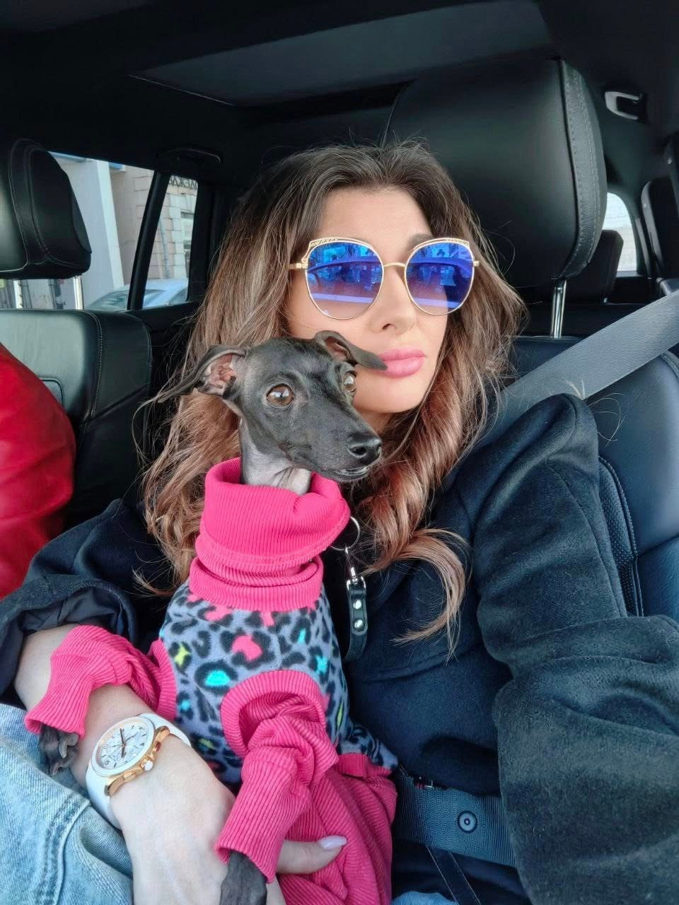 Профессиональный питомник левреток РКФ/FCI ASTI SAPPHIRE 💎 Сочи|Санкт-Петербург