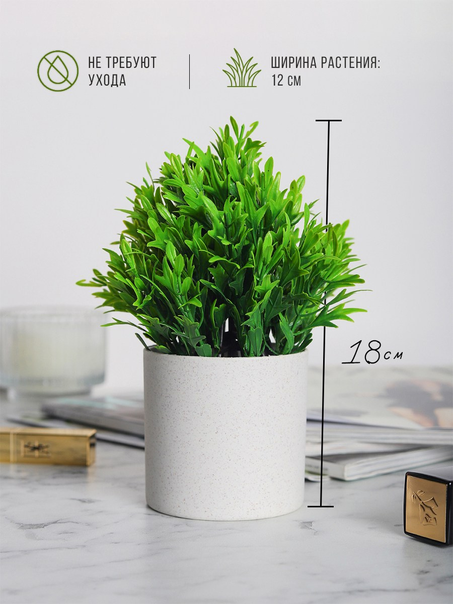 Растения. Разработка фирменного стиля, брендбука, логотипа (логобука), инфографика для маркетплейсов, Новосибирск