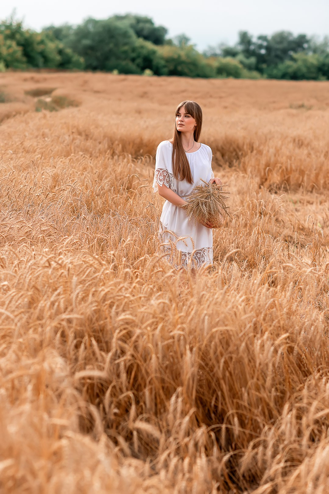 красивая молодая девушка в поле пшеницы