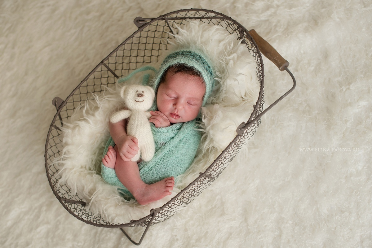Новорожденные. Фотограф новорожденных Елена Панова