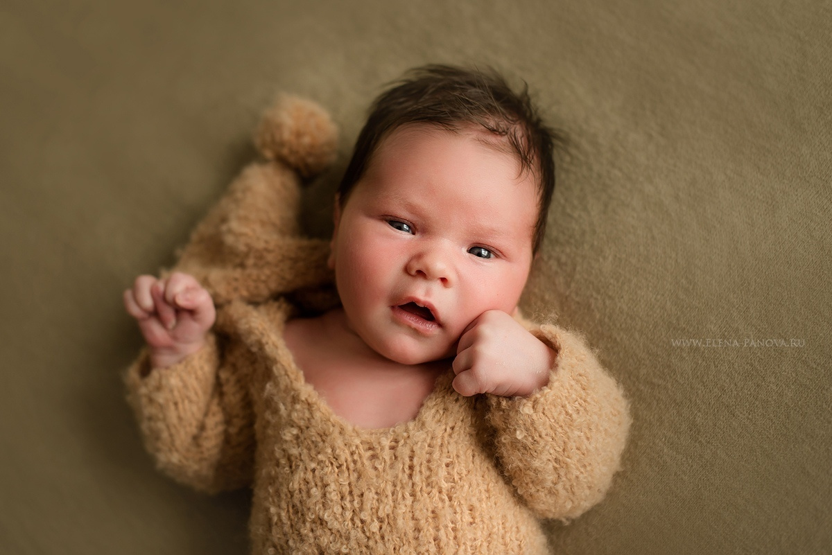 Новорожденные. Фотограф новорожденных Елена Панова
