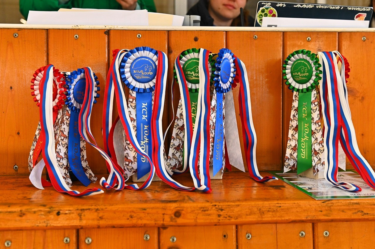 Отзывы. ТУРНИРНАЯ КОННАЯ ФОТОГРАФИЯ, Руднева Ольга и Евгений Адеев