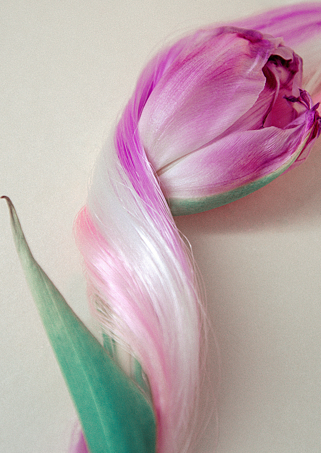 Фотограф Марина Гранкина