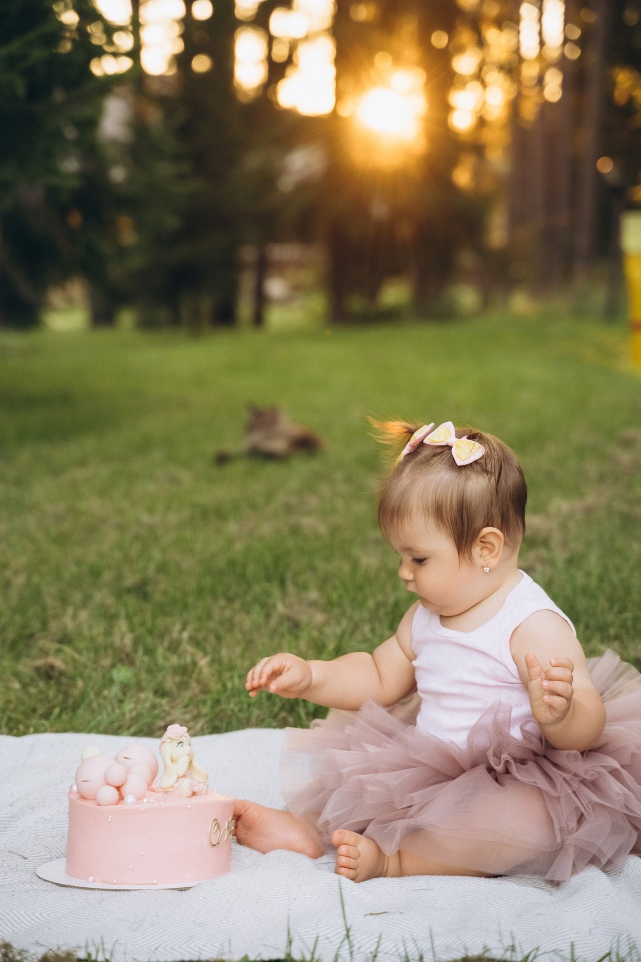 ОТЗЫВЫ. МАРГАРИТА КУДРЯШОВА СВАДЕБНЫЙ И СЕМЕЙНЫЙ ФОТОГРАФ ТВЕРЬ МОСКВА