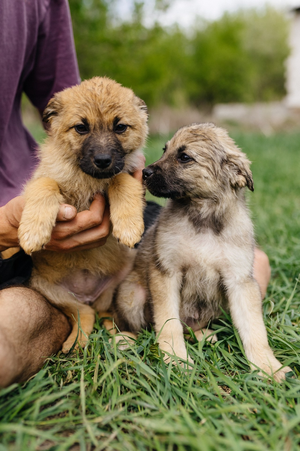Отзывы. Свадебный и портретный фотограф в Белгороде Гаркавцева Полина