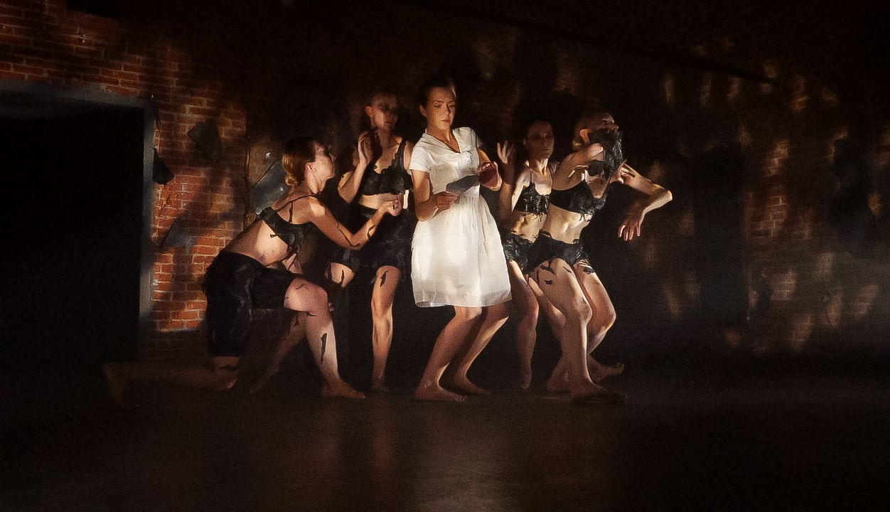 Красное дерево. Фото / Видеосъемка в Москве