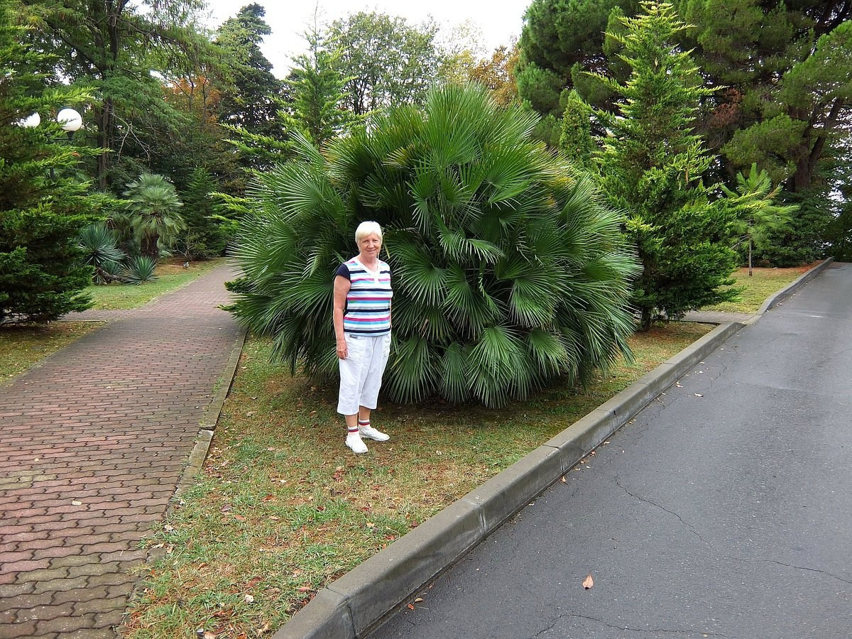 КРАСИВЫЕ МЕСТА В СОЧИ. Свадебный и семейный фотограф/видеограф в Краснодаре Наталья Осинская