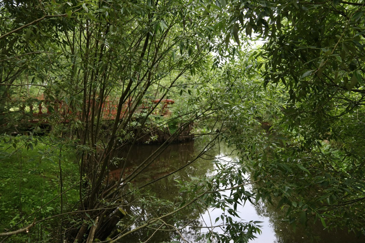 Деревенский выезд. Галерея Фантим