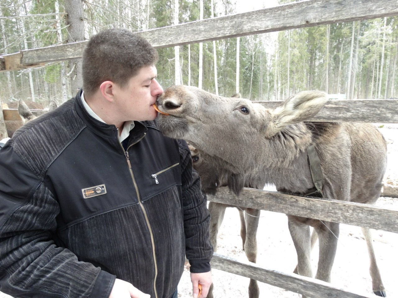 Кострома | 21-22.03.2015. Галерея Фантим