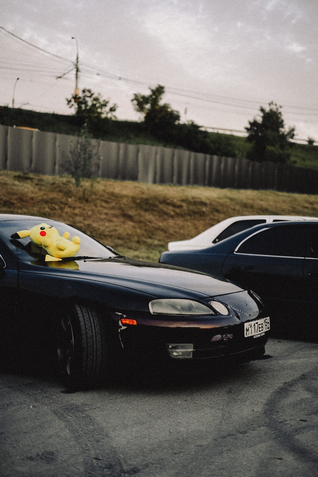 Сходки. Семейный фотограф Полина Легачева