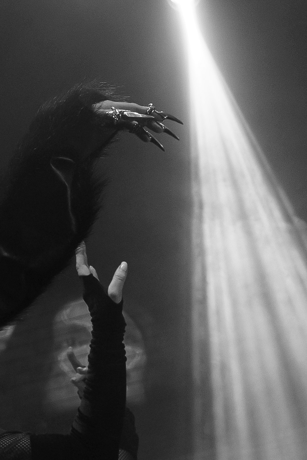 Концерт Bearwolf. Свадебный фотограф в Москве. Диана Грицай