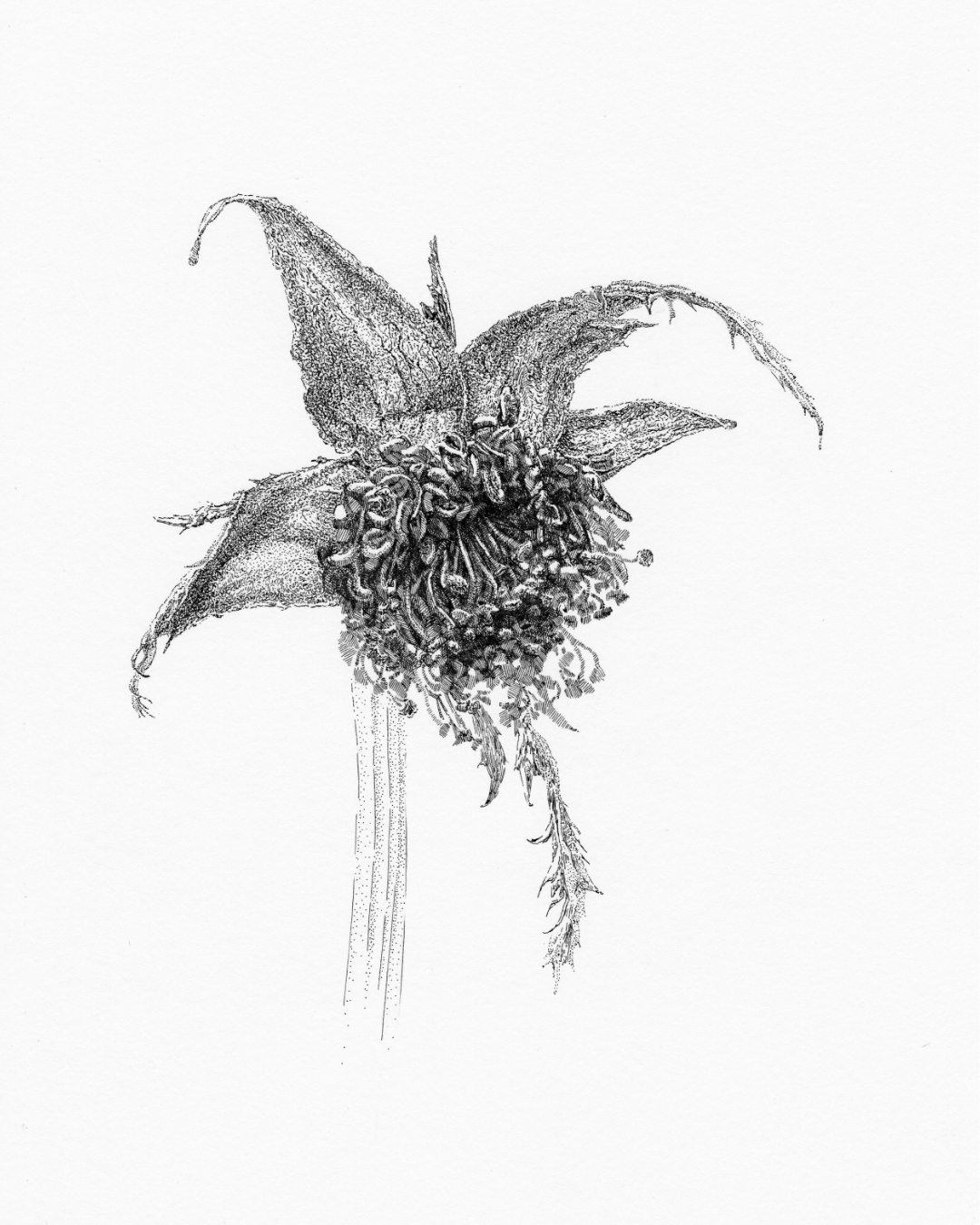 After Bouquet. Rose. 7. Nadezhda Polomoshnova, fine artist in Charleston