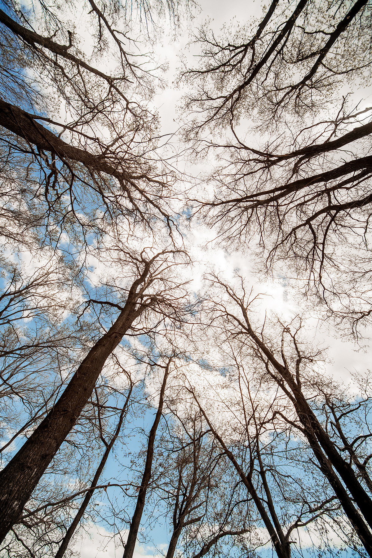 Игорь и Диана. Свадебный фотограф Екатерина Кузнецова