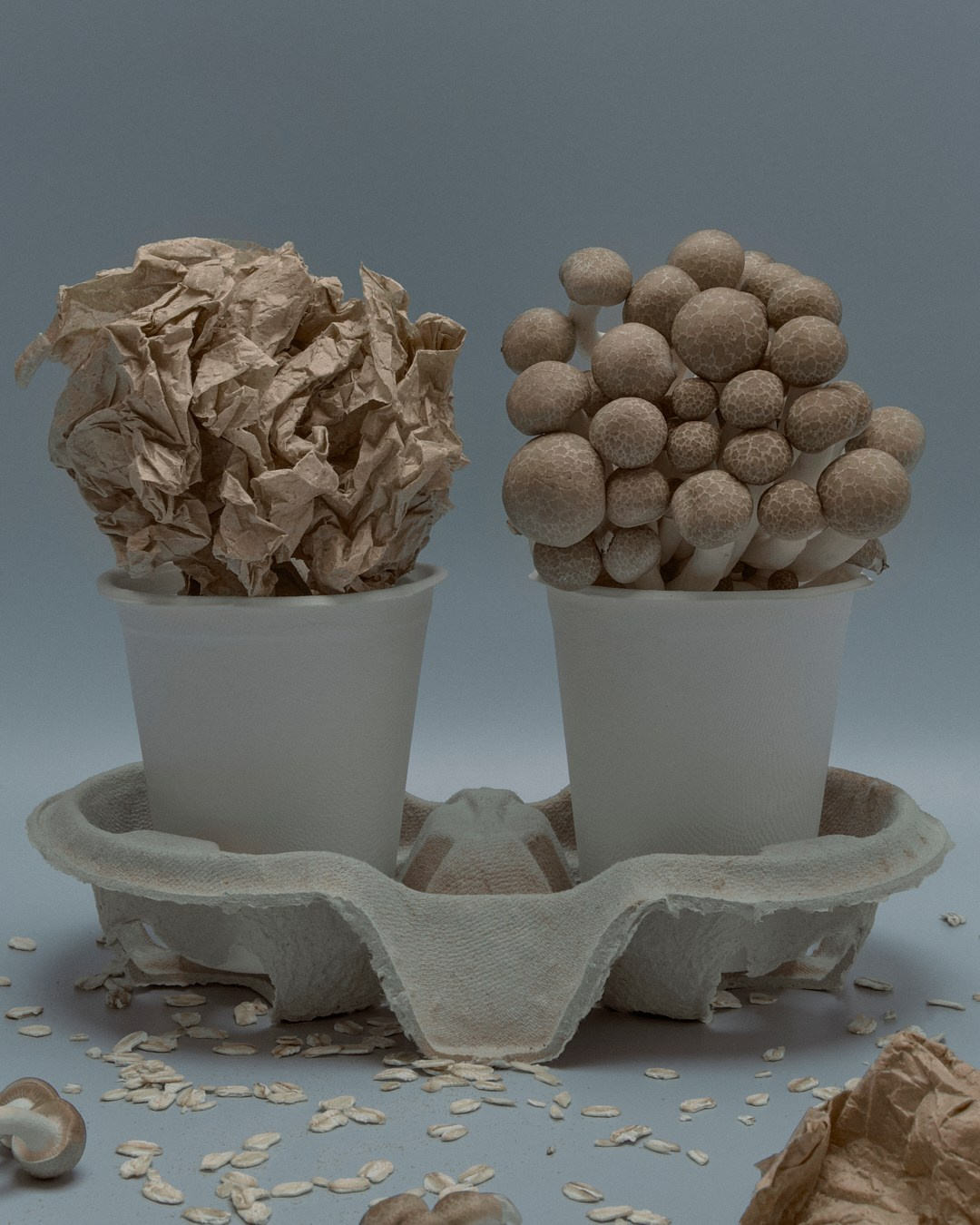 Still life Projects. Фотограф Елена Вороха. Москва