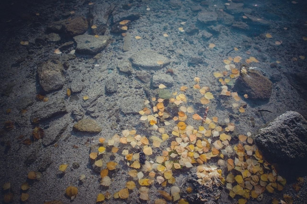 Легенды осени. Фотограф в Санкт-Петербурге Березовский Даниил