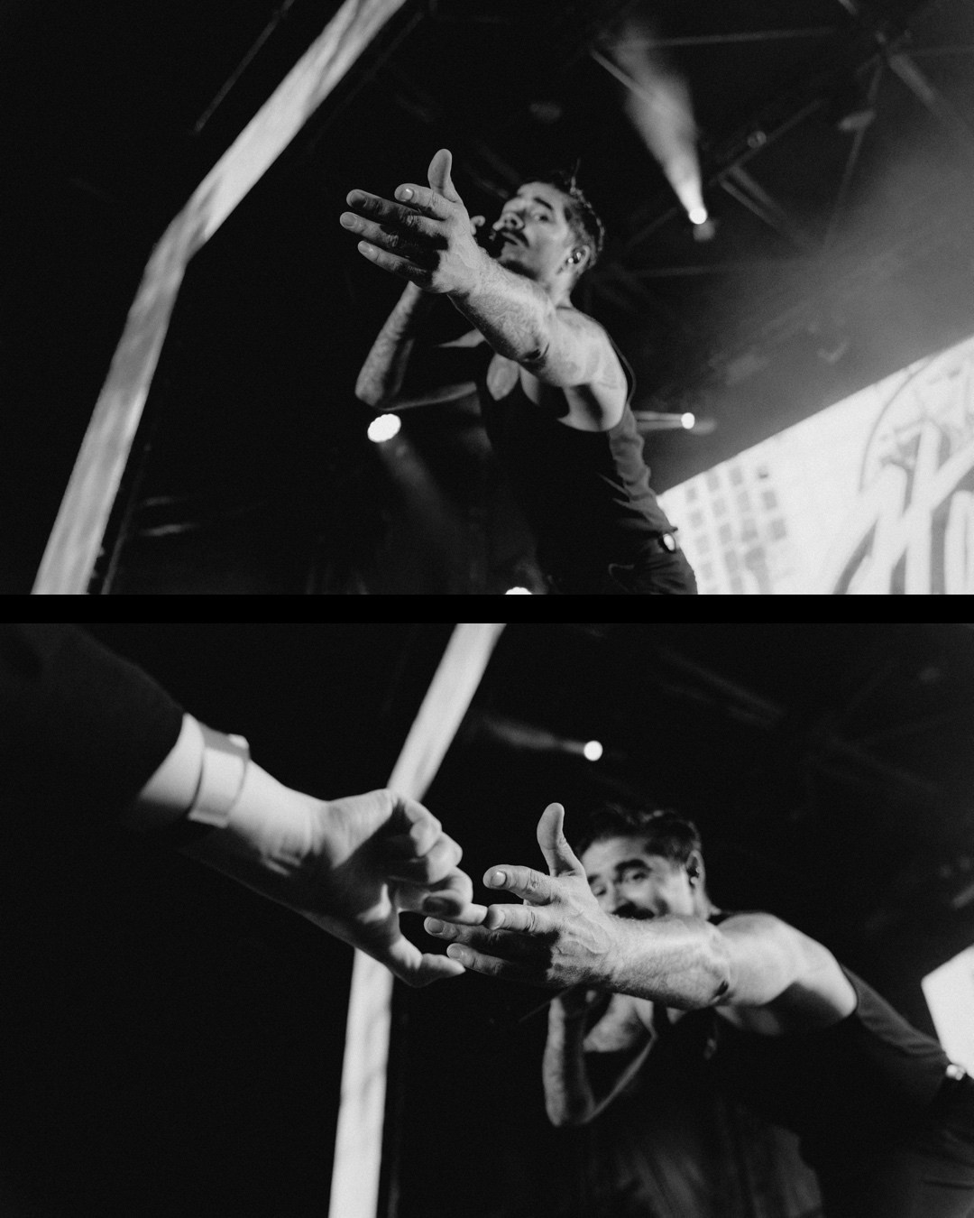 The Hatters \ ROOF LIVE \ 2025